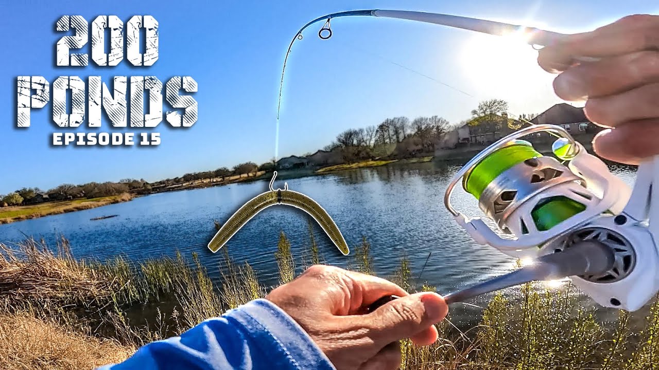 Spring Pond Bass CAN'T RESIST The Wacky Rig! (200 Ponds Ep. 15)