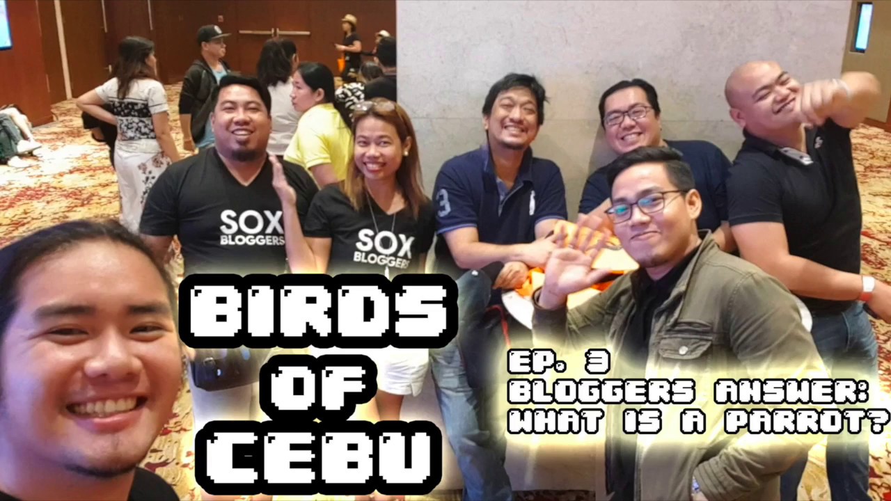 EP 3  BLOGAPALOOZA BLOGGERS ANSWER: WHAT IS A PARROT?