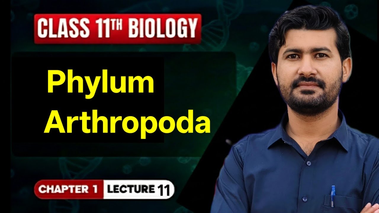 Phylum Arthropoda class 11 Biology Chapter 1 by irtisams biology 