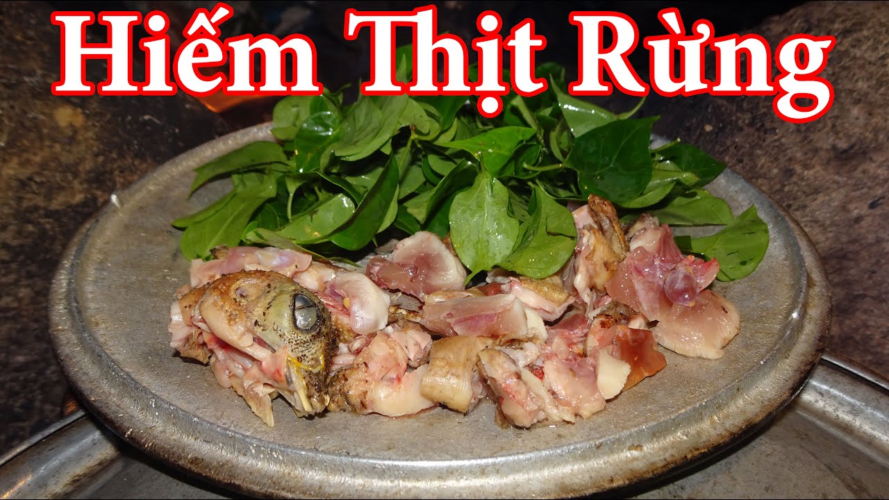 Thăm Bẫy, Ngủ Rừng, Săn Bắt Trong Rừng - RỪNG GIÀ | T3