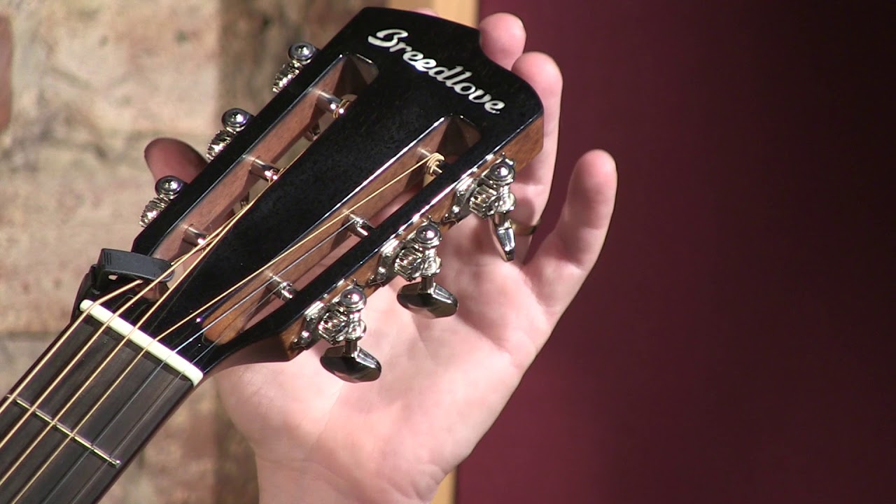 Breedlove Legacy Concertina E Reviewed!