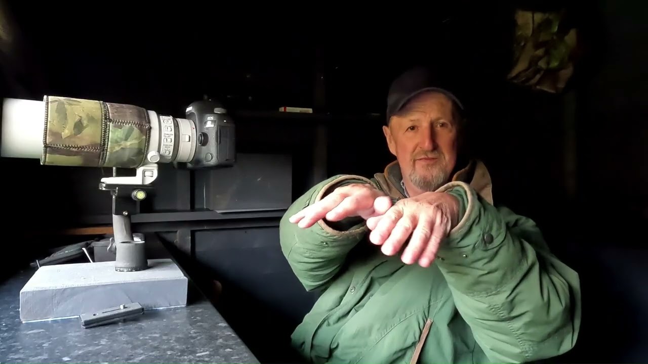 NEST BOXES and BIRD TIPS