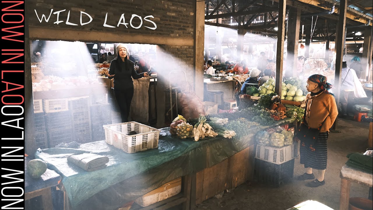 WILD LAOS - Phongsali Laos.. MUST SEE!!