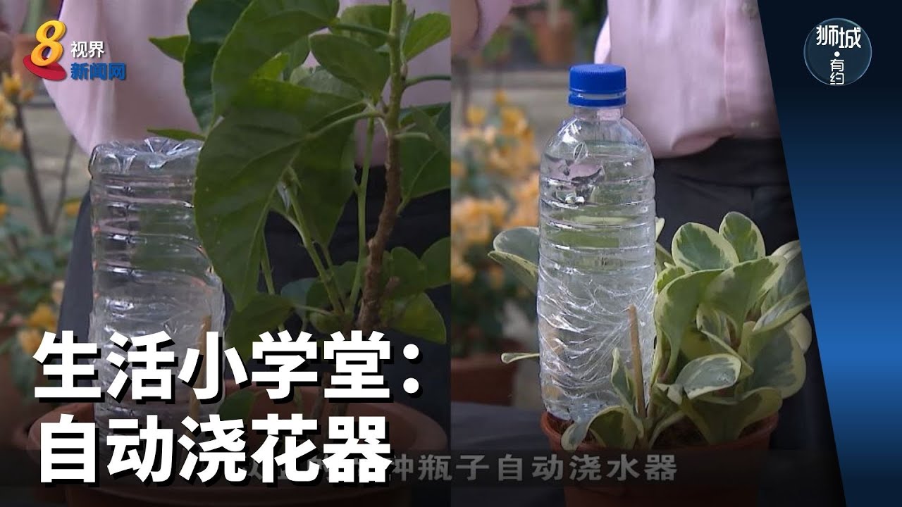狮城有约 | 生活小学堂：自动浇花器