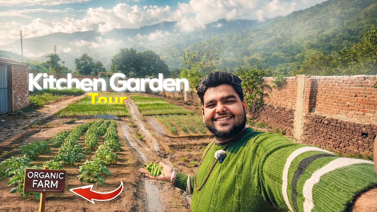 Kitchen Garden tour 2026 🪴| Organic सब्ज़ियाँ घर पर कैसे उगाएँ | Kitchen Garden Vlog