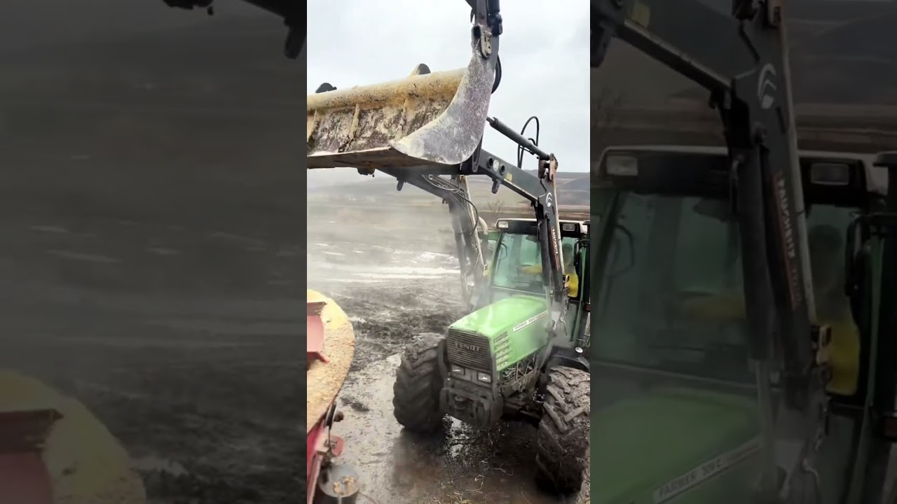 This giant blender feeds hundreds of cows  day #farming #farmlife #cow #farm #tractor #countrylife