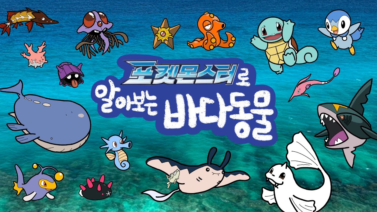 포켓몬 바다동물 | 포켓몬스터에 나오는 바다동물은 누구일까요? | 포켓몬스터를 맞춰보아요 | 포켓몬스터에 나오는 바다동물들을 만나보아요 | 키즈드로우