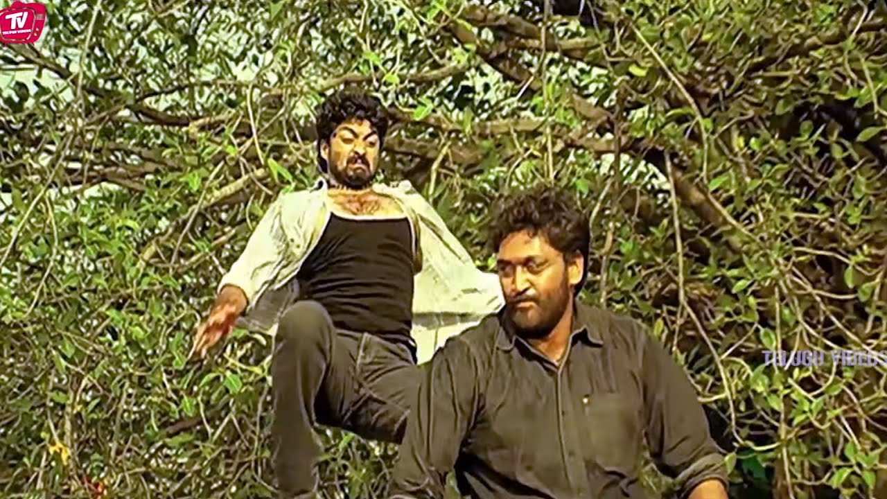 Kalyan ram Telugu Blockbuster Movie Action Scene | Telugu Videos