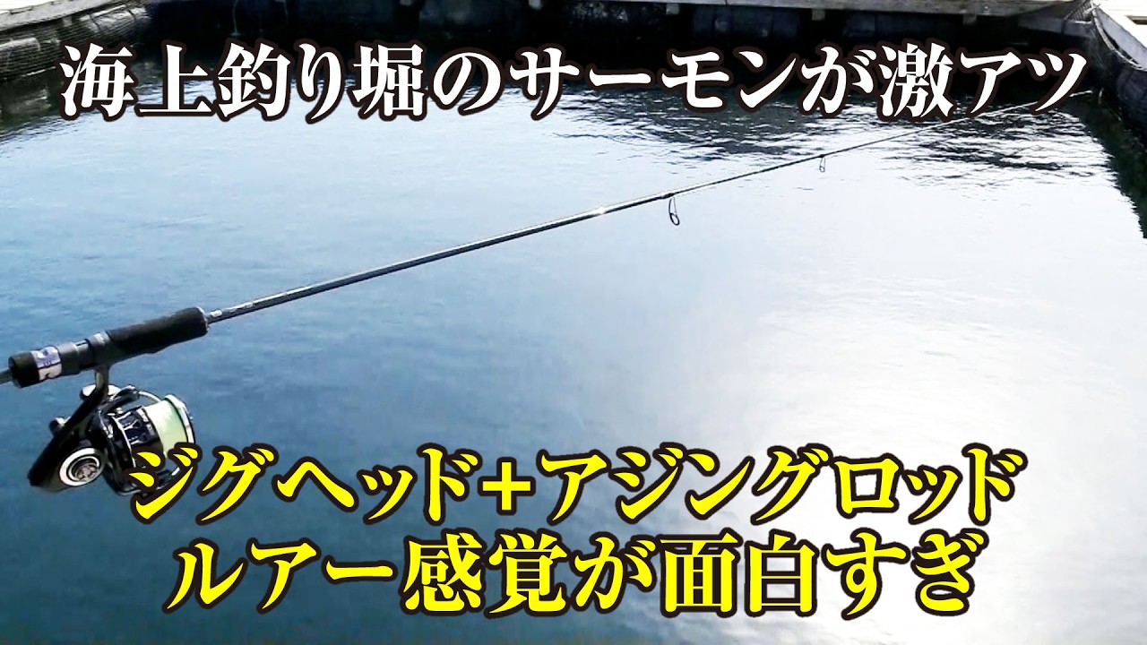 【海上釣り堀】アジングタックルで簡単にサーモンが釣れる方法教えます