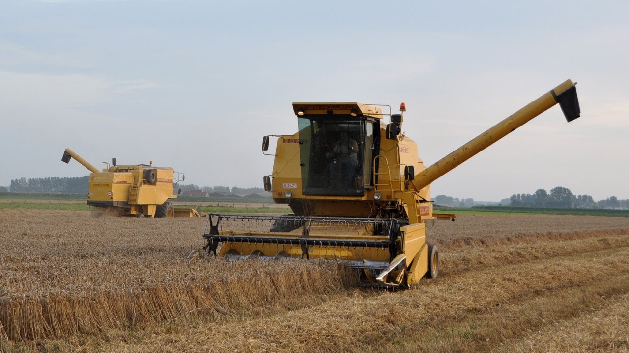 Loonwerk Den Ticht : 3X New Holland - TX 32 & 8070 & CX840