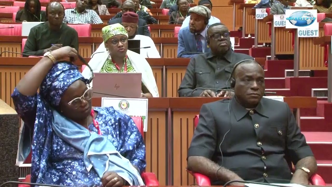 Economic Community of West African States Draws the Line: Zero Tolerance for Military Coups