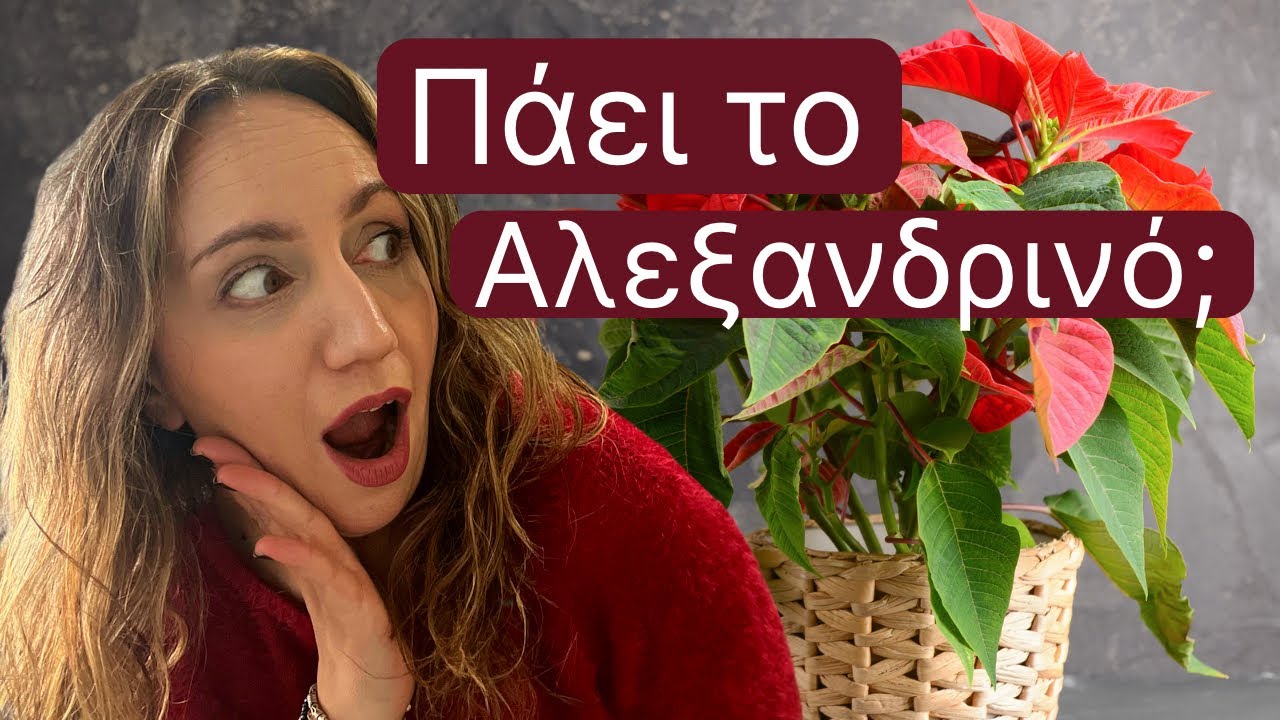 Γιατί χαλάει το Αλεξανδρινό μου;