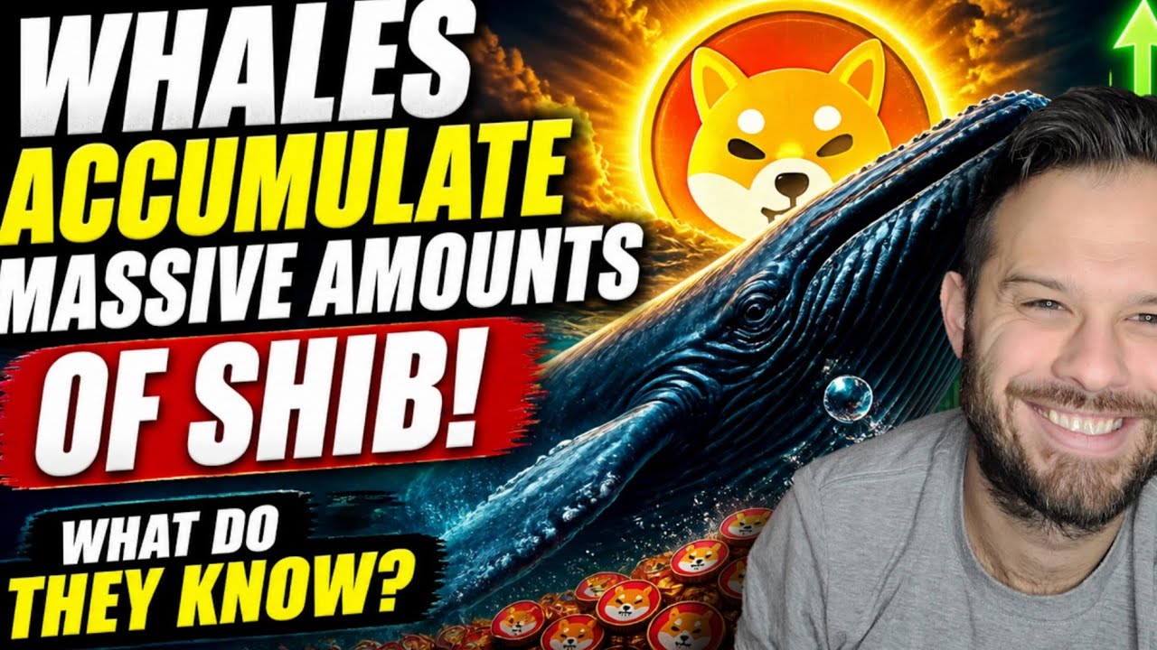Shiba Inu Coin | Киты скупают огромные объемы SHIB!