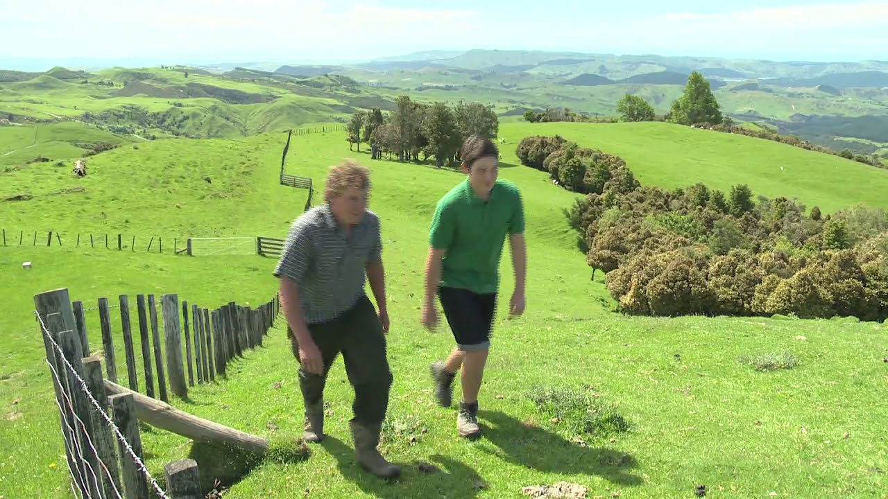 Sheep and Beef Farming Careers