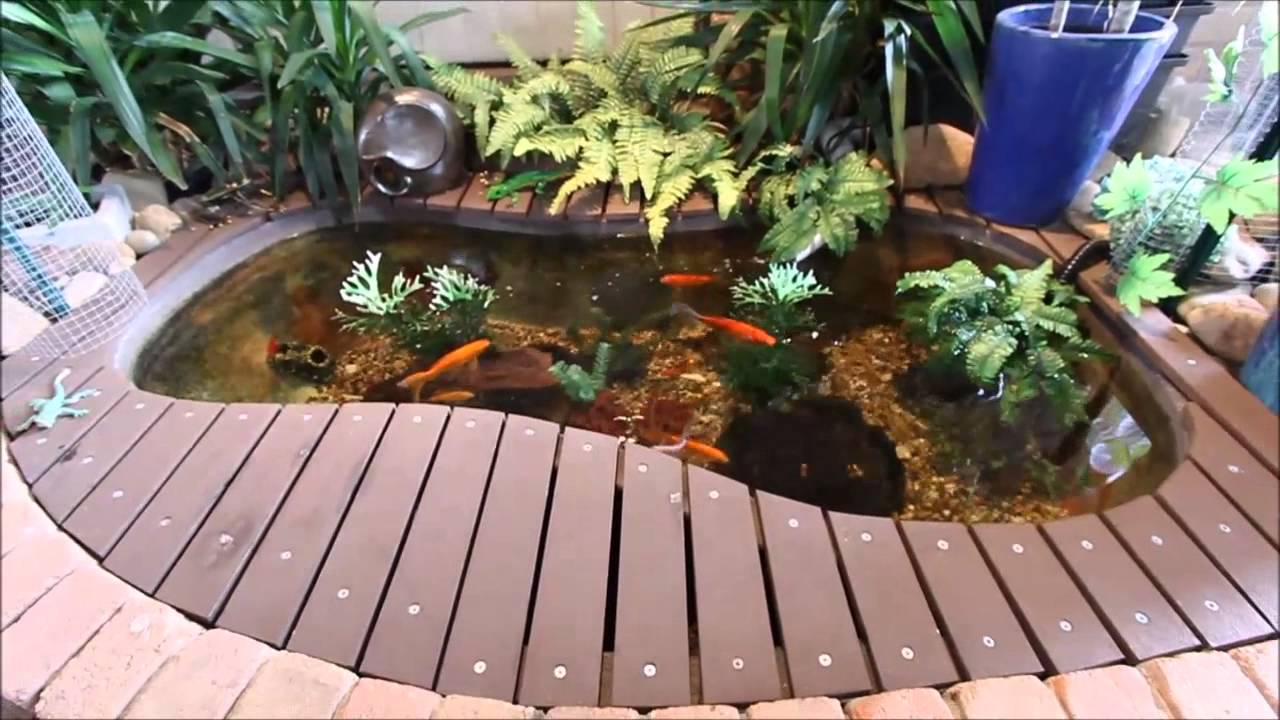 DIY Goldfish Pond Using Old Bathtub Update #4