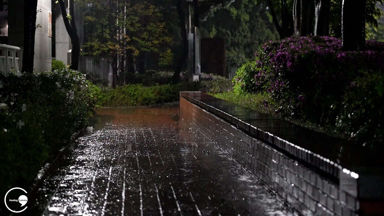 Fall asleep quickly with heavy rain at night and relieve fatigue, farewell and insomnia