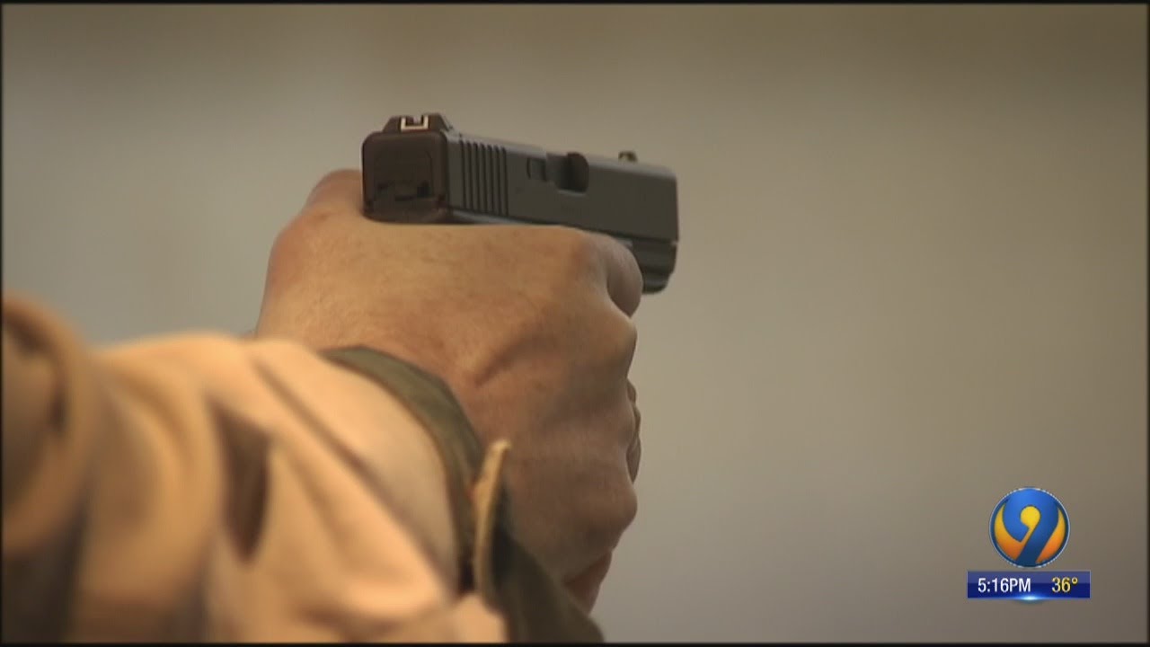 9 Investigates: The debate over red flag laws in North Carolina