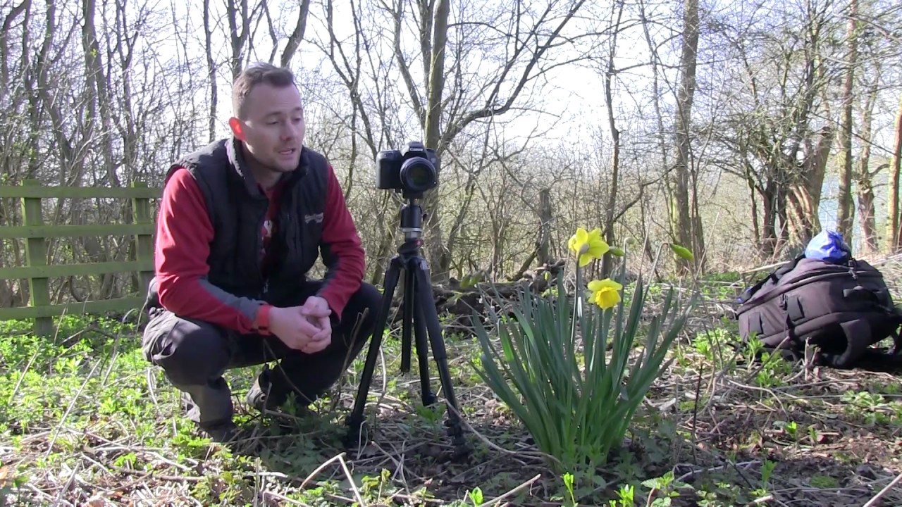 Ten top tips for shooting spring flowers