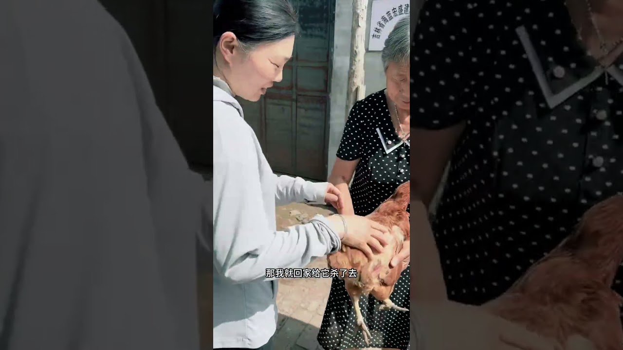 我的农村生活＃简简单单的东北农村生活，新农人计划##