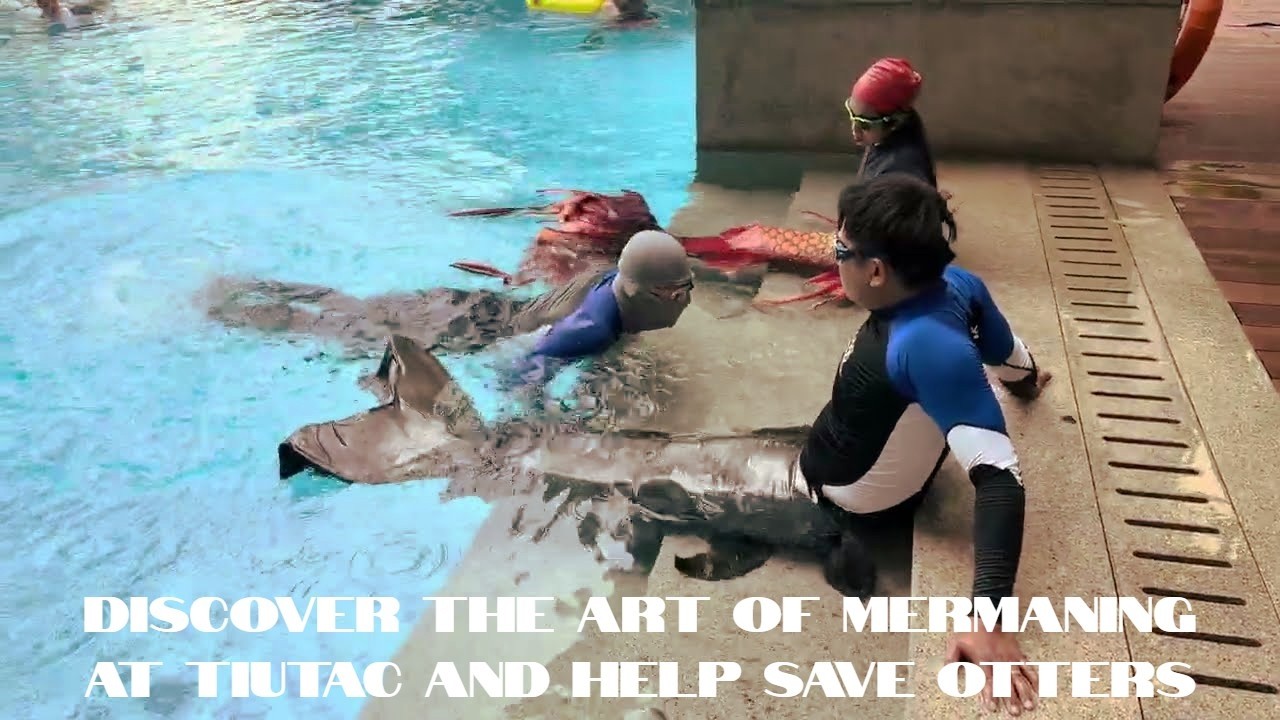 Merman Tiun Taught Mermaiding To Save A Baby Otter Suffering From Enteritis