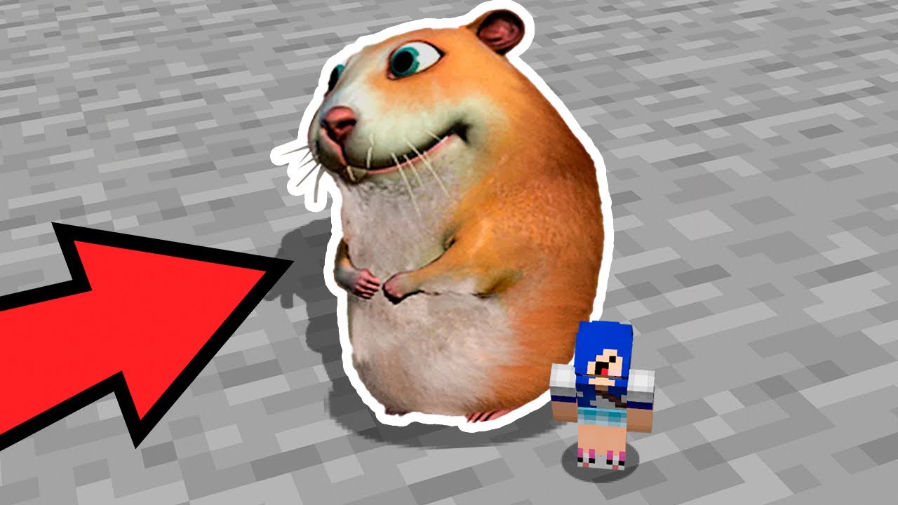SÓ UM BURRO NÃO VÊ ESSE HAMSTER GIGANTE! (FIND CHOMIKS MINECRAFT)