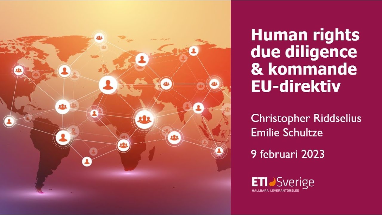 Introduktion: human rights due diligence och kommande EU-direktiv