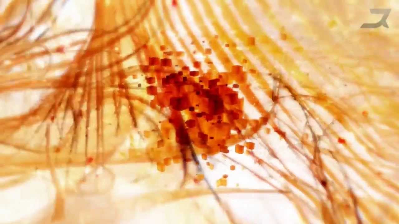 Raytheon - New Beginnings [BFtP]