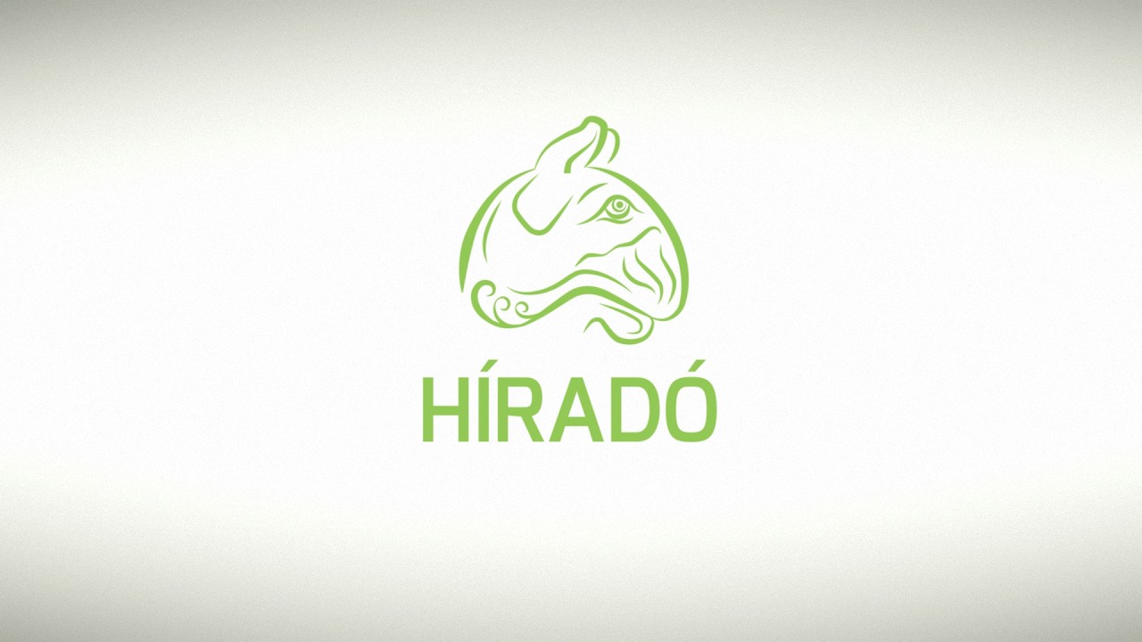 2026. 02. 11.  Híradó