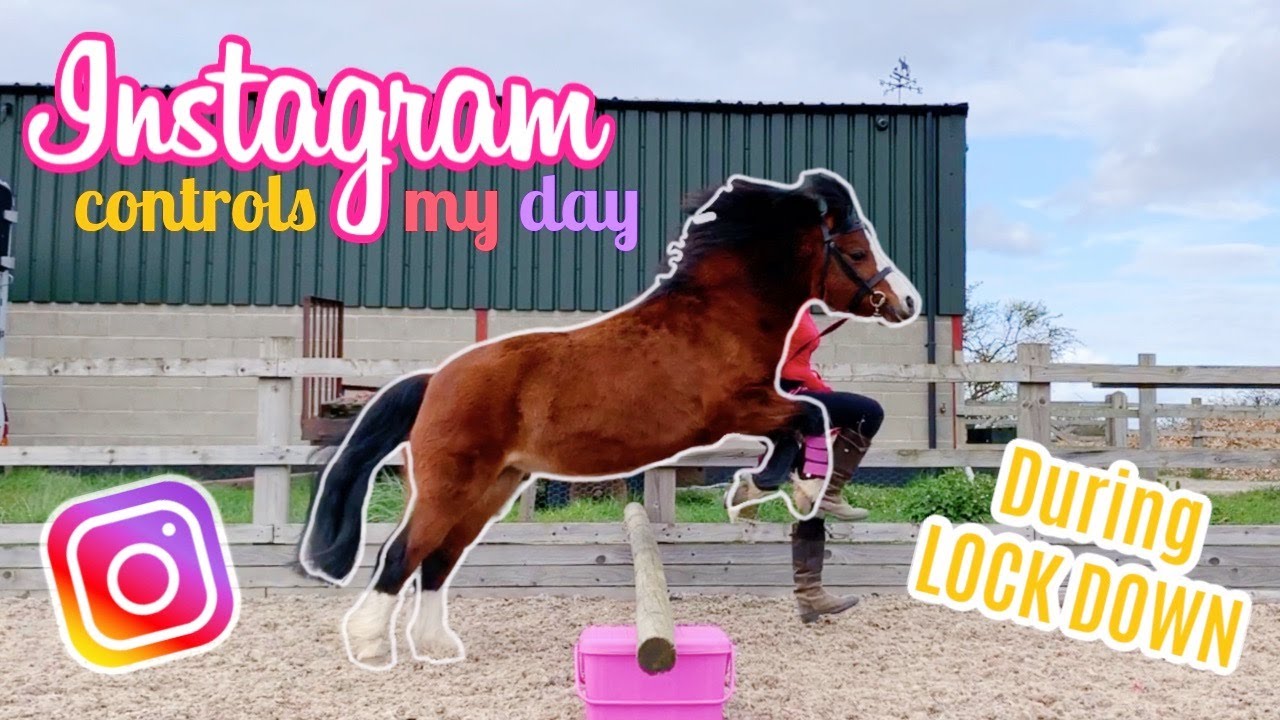 Instagram Controls My Day During LOCK DOWN | Day 5