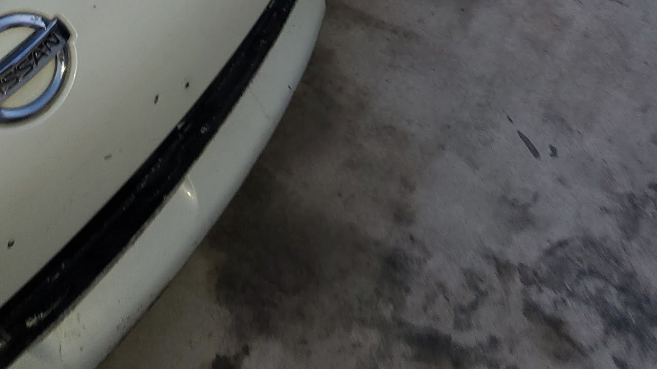 Update and a new purchase
