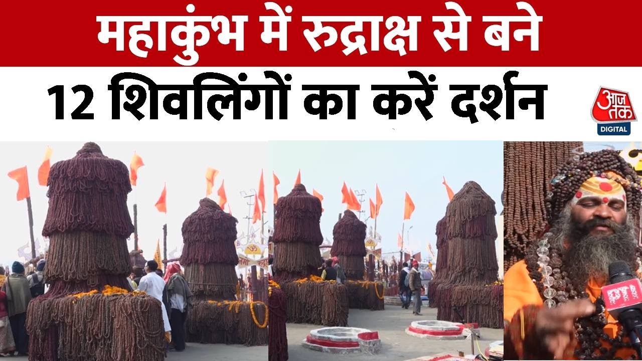Mahakumbh 2024: महाकुंभ में रुद्राक्ष से बने 12 शिवलिंगों के दर्शन पर साधुओं ने क्या कहा? | Aaj Tak