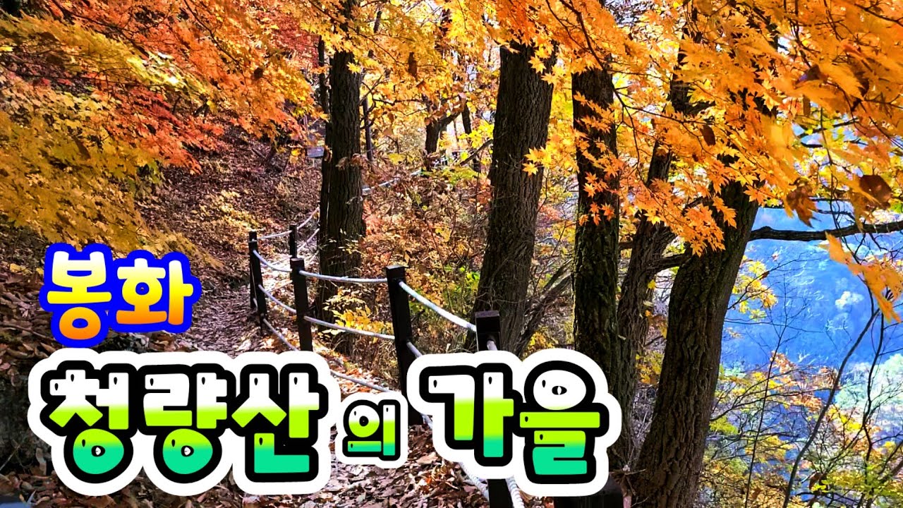 봉화. 청량산의  가을