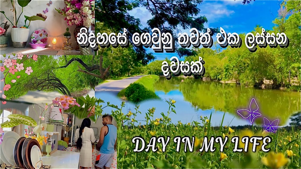 💦ආයම කුඹුරැ වැඩ🌾පටන් ගන්න කාලෙත් ලංවුනා🍃| අපිත් එක්ක රසම රස කෑමක් හදමුද🍠🥰 #heartofthevillage