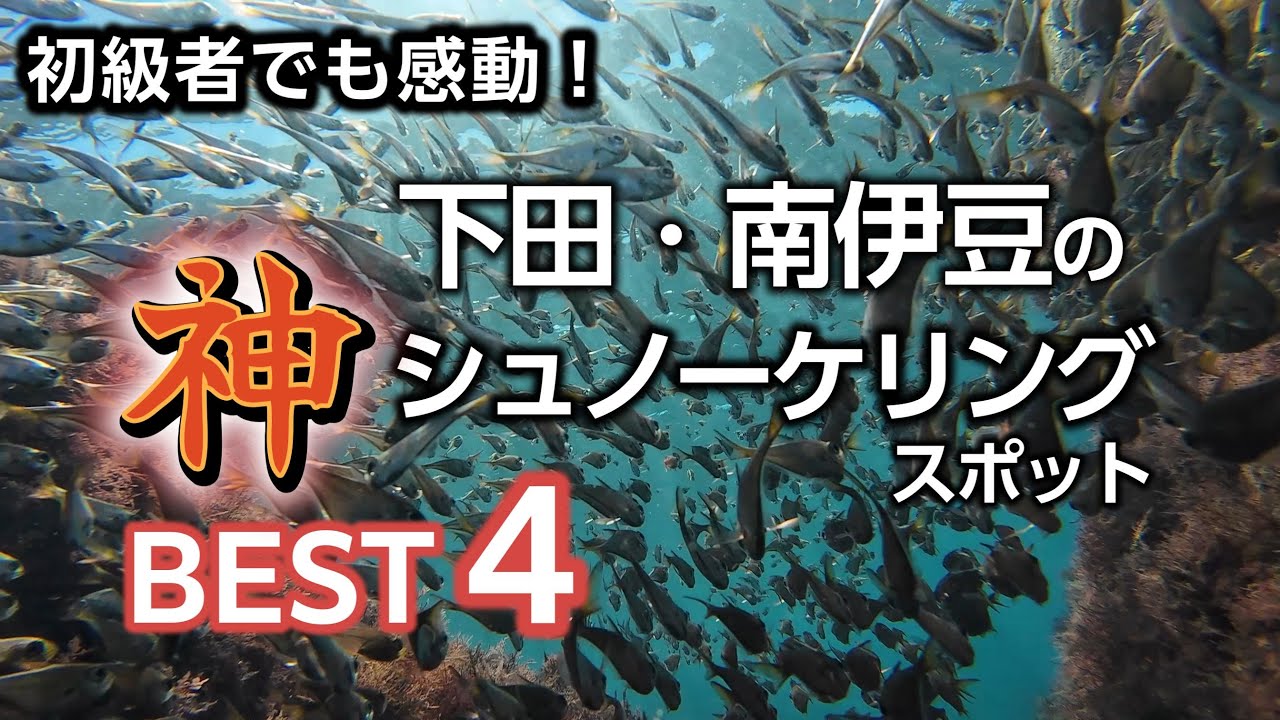 初心者でも楽しめる！下田・南伊豆のシュノーケリングスポットBEST4【実際に泳いでレビュー】