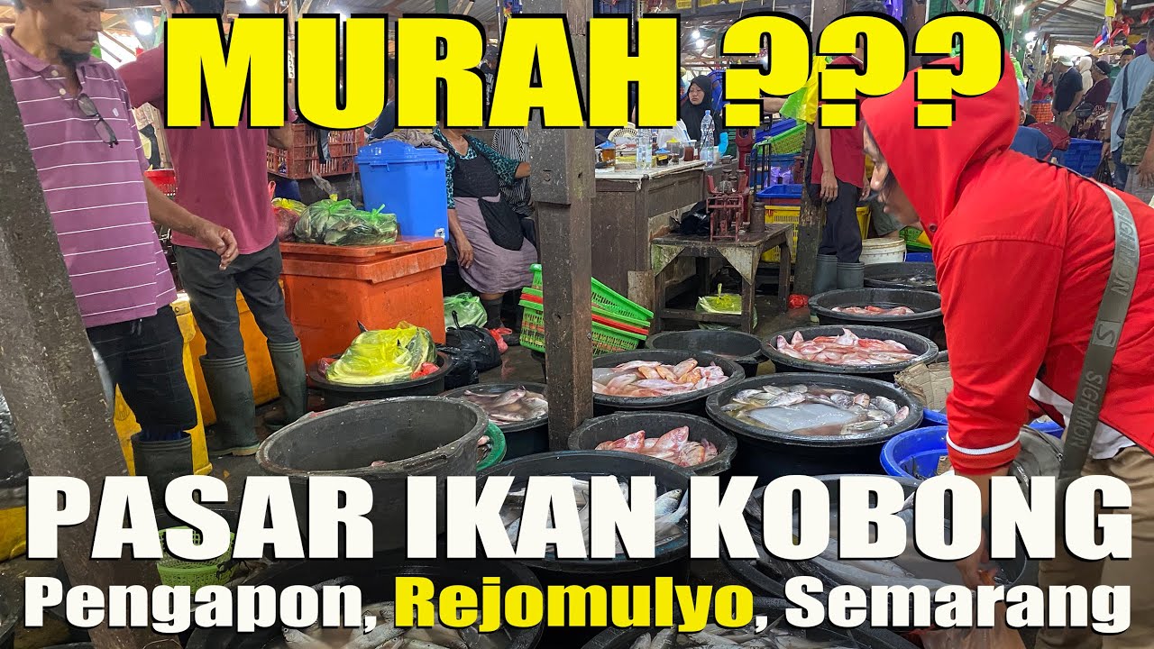 BLUSUKAN, Hiruk Pikuk Pasar Ikan Paling Besar di Semarang, Ciri Khas Iwak P Asap, Becek Dimana-mana