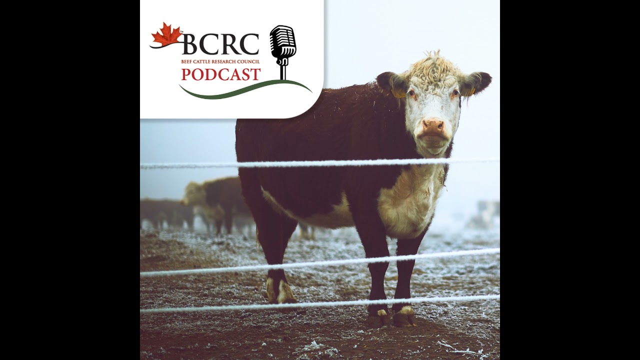 Episode 107: Think you have a closed herd?