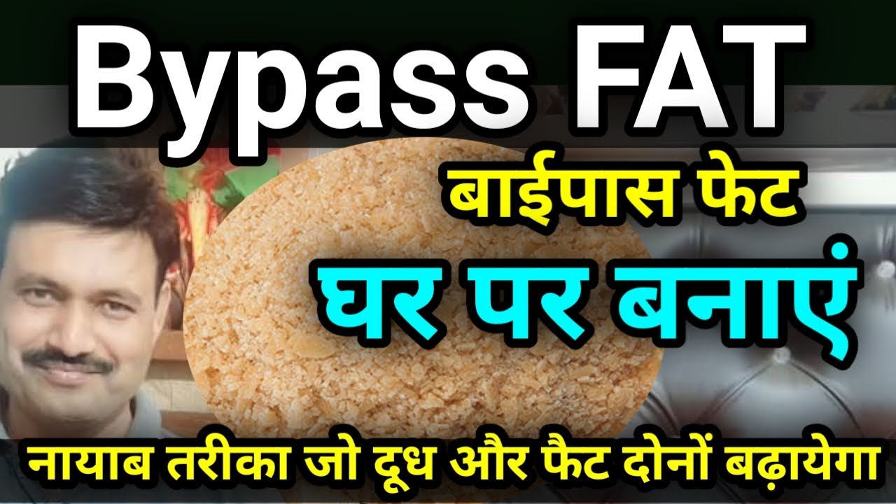 Bypass FAT banane ka tarika घर पर बाईपास फेट बनाए bypass fat for cattle buffalo dairy cows animals