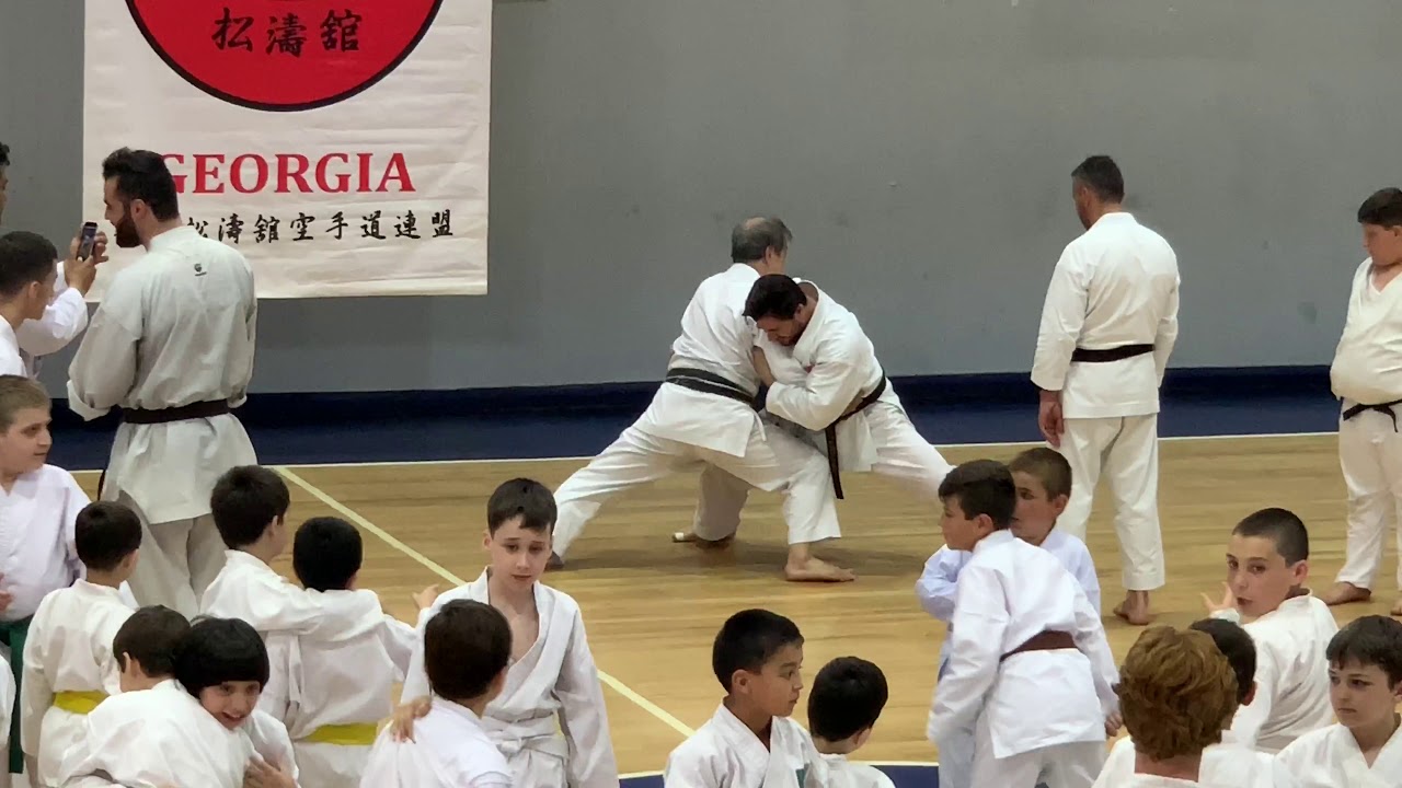 Shotokan Karate-Do Seminar in Batumi, Georgia