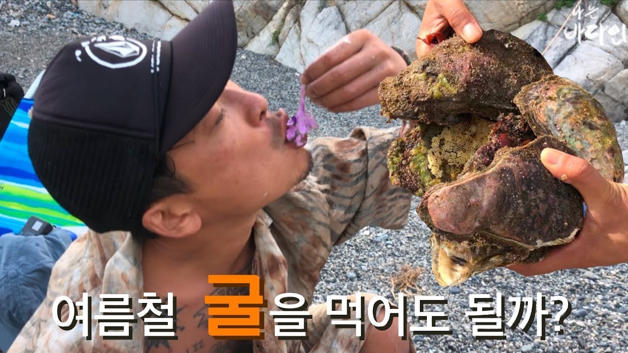 먹고 나면 다음날 아침이 달라진다는 바위굴!! 들어 보셨나요?(2부) Eat Raw Oysters and Boost Your Stamina Naturally