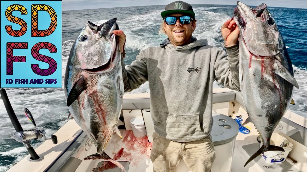 KAMIKAZE BLUEFIN TUNA FISHING Nomad MADMACS Offshore San Diego Freedom Boat Club 2025