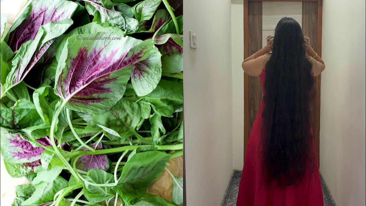 Hair fall ಗೆ ಇದು ಒಂದು ಸೊಪ್ಪು ಇದ್ದರೆ ಸಾಕು ಉದುರುವುದನ್ನು ಕಡಿಮೆ ಮಾಡುತ್ತದೆ 