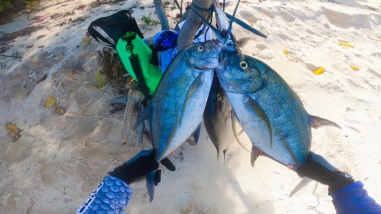 Dayo sa Balabac palawan.! Puro Mamaw kumakagat❗