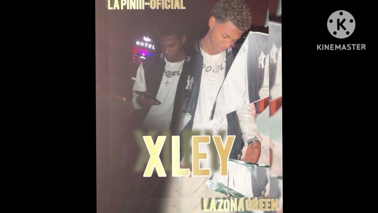 La piniii X Ley (Audio Oficial)@Austindesde-laZonaGreen