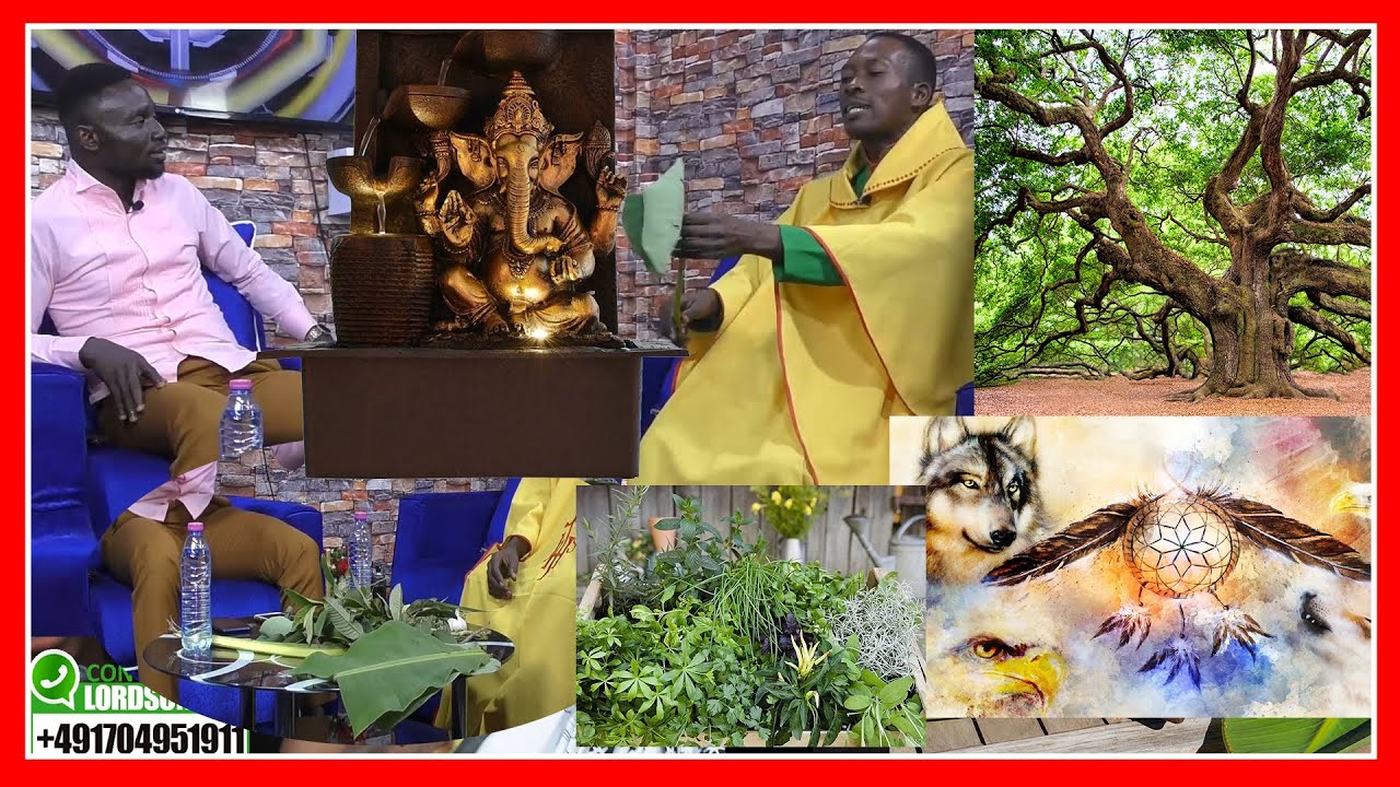 😱😱Lion Prophet uses banana leaves to cure Henia. Aloe Vera to Charm man or woman. power in Leaves🔥🔥