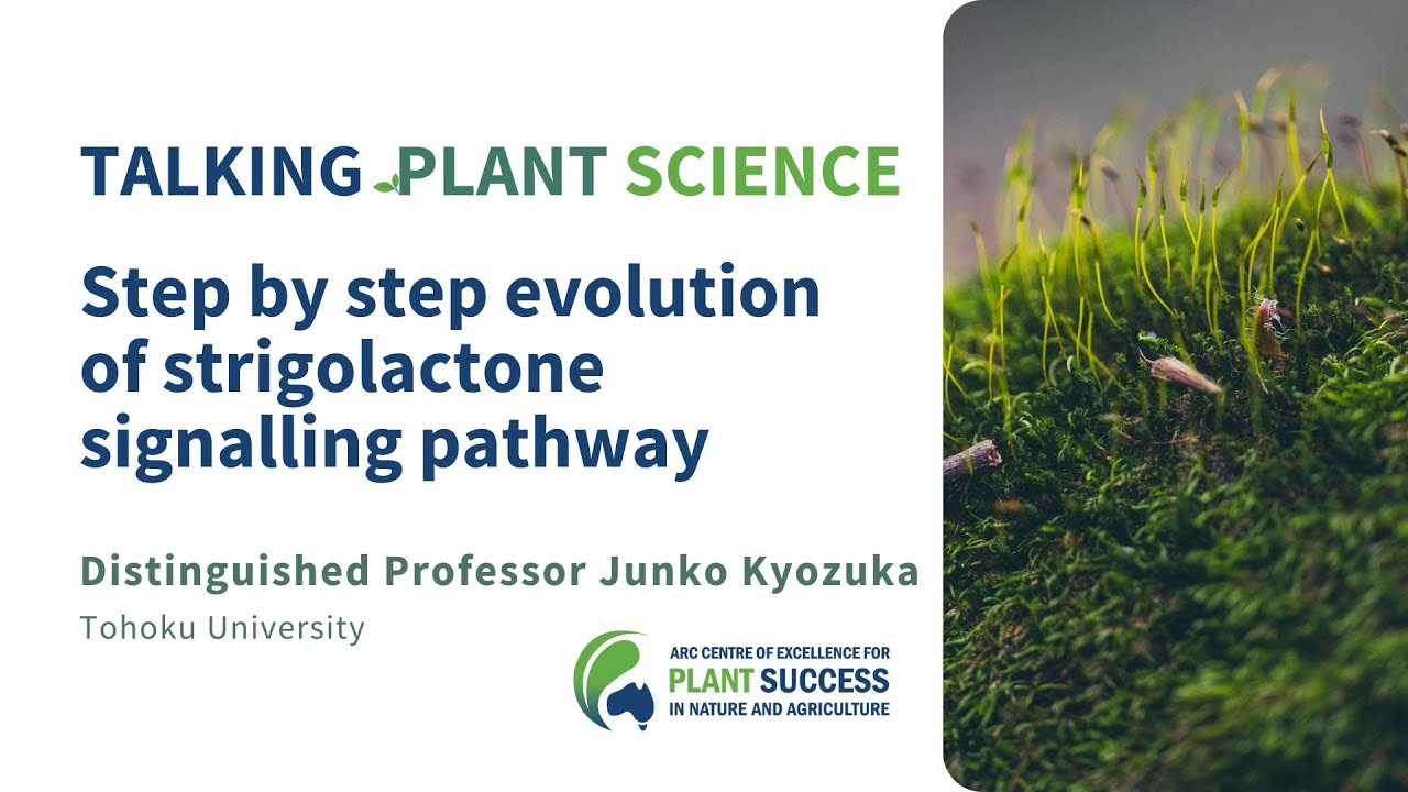 Junko Kyozuka 'Step by step evolution of strigolactone signalling pathway﻿'