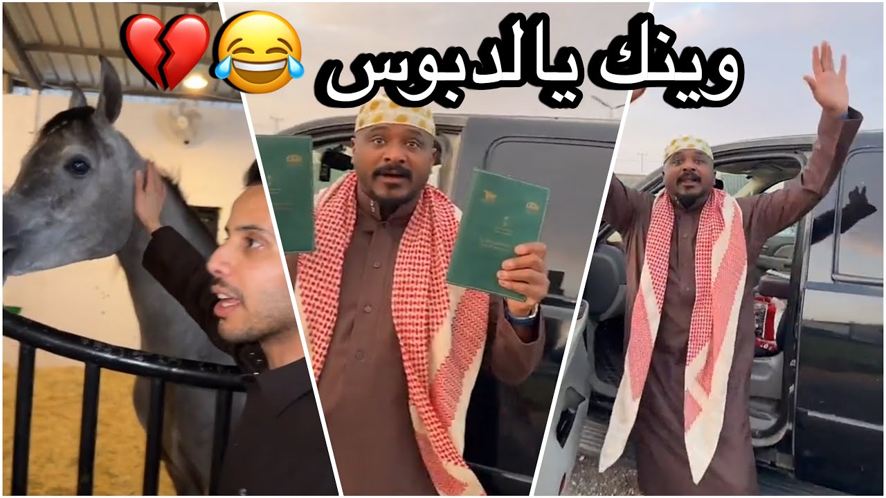 سنابات سلوم بطي | روك يتحدا الدبوس بمسابقة خيل 😂🔥 روز رايز مشاري ! 