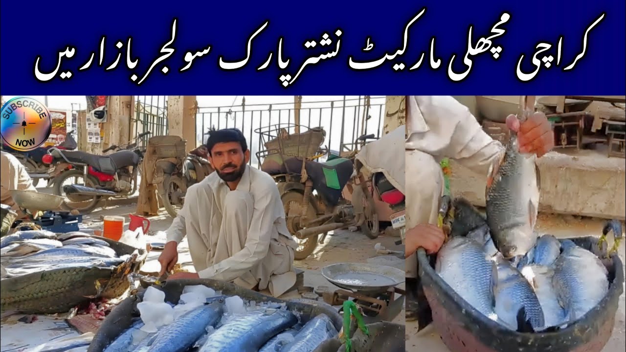 Fish Market Karachi | Machhi Market video