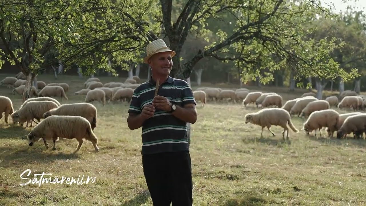 Cine n-are nici un doru cu Răzvan Roșu - ep 1 | La stâna lui Griga Făt din Cămărzana, Țara Oașului