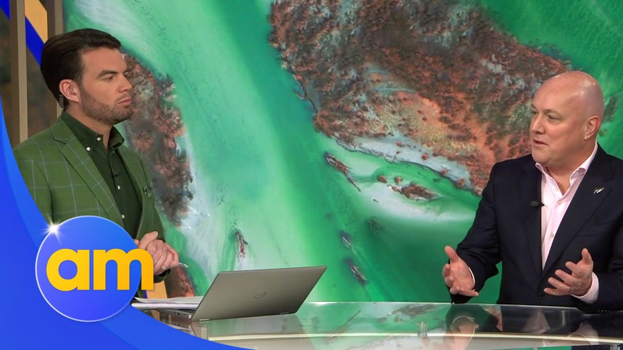 National's Christopher Luxon on NZ Govt's investigation into top earners | AM
