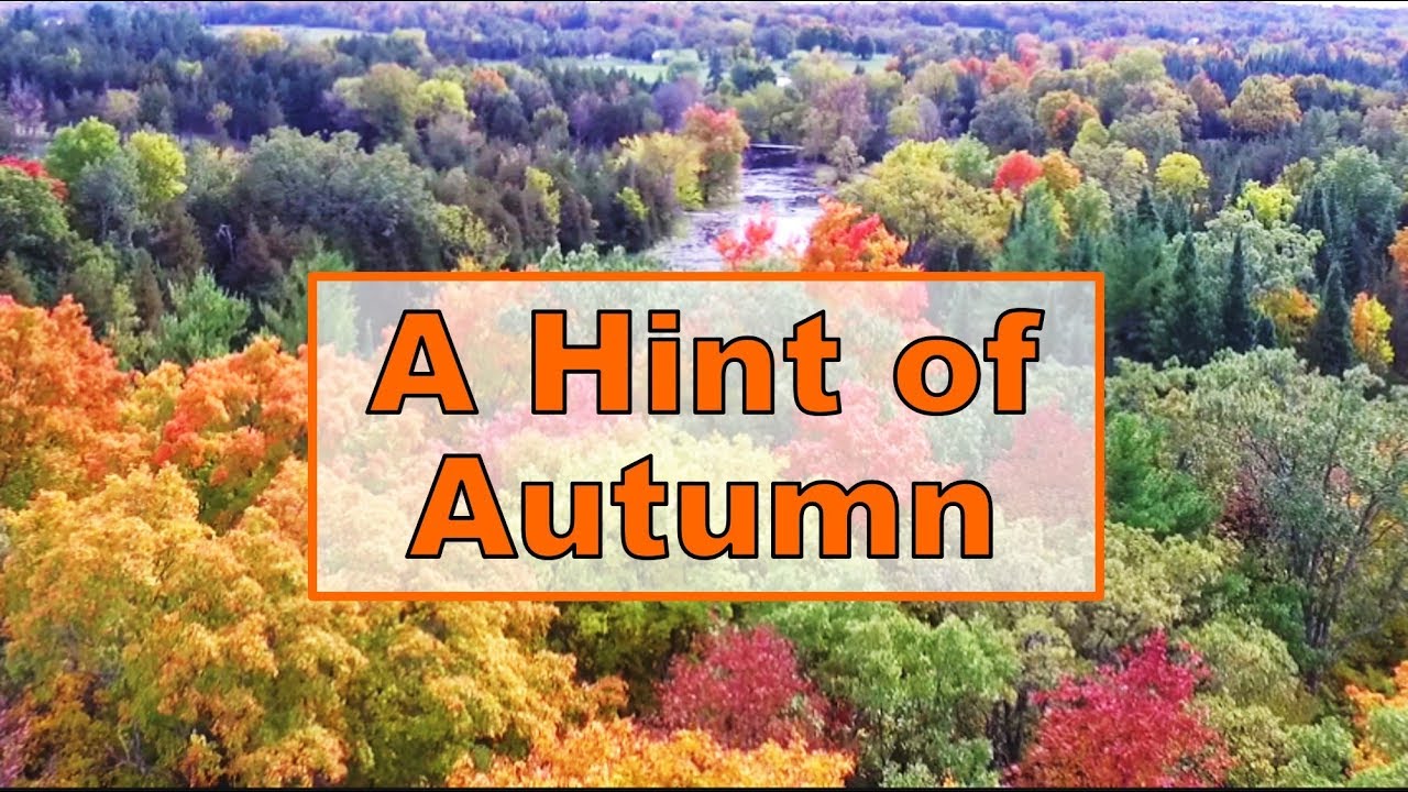 A Hint of Autumn Beaver Lake Stone Mills Fall Leaves 2018 #dondroneson #beaverlake #drone #djips3
